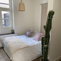 Maastricht, Leliestraat, 2-kamer appartement - foto 4