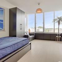 Amsterdam, Bos en Lommerplantsoen, zelfstandige studio - foto 4
