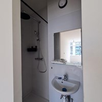Breda, Hooilaan, semi zelfstandige studio - foto 4