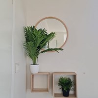 Utrecht, Groeneweg, semi zelfstandige studio - foto 5