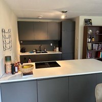 Nijmegen, Niek Engelschmanlaan, 3-kamer appartement - foto 5