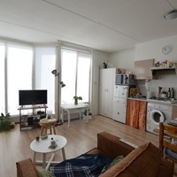 Zwolle, Sellekamp, 2-kamer appartement - foto 4