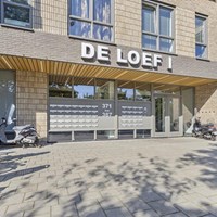Den Haag, Loevesteinlaan, 4-kamer appartement - foto 4