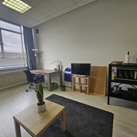 Groningen, Paradijsvogelstraat, kamer - foto 4