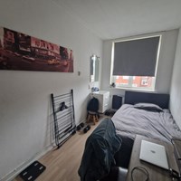 Groningen, Van Royenlaan, kamer - foto 5