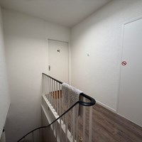 Eindhoven, Lupinestraat, portiekflat - foto 4