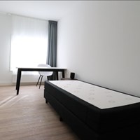 Eindhoven, Heideveldstraat, zelfstandige studio - foto 5