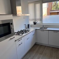 Den Dolder, Tolhuislaan, tussenwoning - foto 4