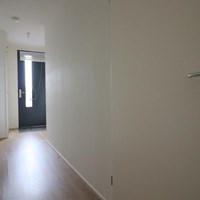 Zeist, Bergweg, 2-kamer appartement - foto 6