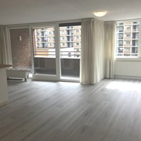 Rotterdam, Jan Pettersonstraat, 3-kamer appartement - foto 4