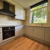 Apeldoorn, Frederikslaan, vrijstaande woning - foto 5
