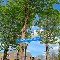 Deventer, Peter van Anrooijstraat, eengezinswoning - foto 5