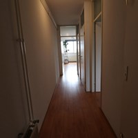 Lelystad, Ringdijk, 2-kamer appartement - foto 4