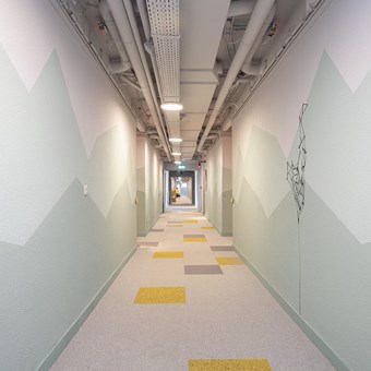 Zwolle, Assendorperdijk, 2-kamer appartement - foto 3