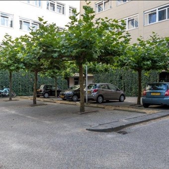 Arnhem, Utrechtsestraat, zelfstandige studio - foto 3