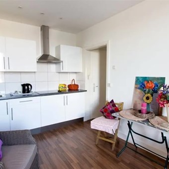Rijswijk (ZH), Leeuwendaallaan, 2-kamer appartement - foto 3