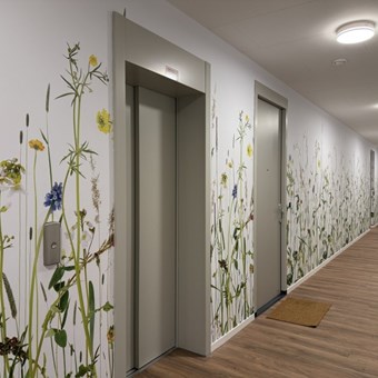 Utrecht, Winklerlaan, 3-kamer appartement - foto 2
