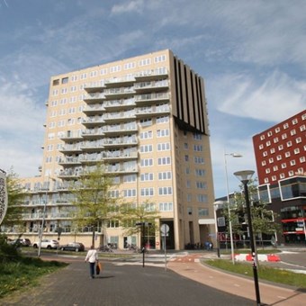 Amersfoort, Piet Mondriaanlaan, 2-kamer appartement - foto 2