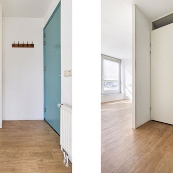 Tilburg, Besterdring, zelfstandige studio - foto 3
