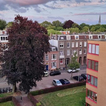 Utrecht, Hartingstraat, penthouse - foto 3