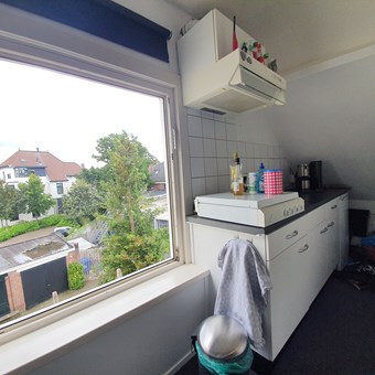 Breda, de Roy van Zuidewijnlaan, semi zelfstandige studio - foto 3