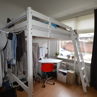 Zwolle, Borneostraat, kamer - foto 2