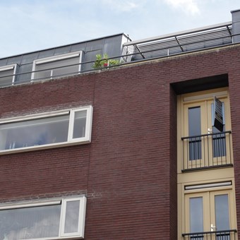 Breda, Concordiastraat, 3-kamer appartement - foto 2