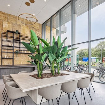 Eindhoven, Grenenhout, 3-kamer appartement - foto 3
