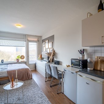 Groningen, Populierenlaan, zelfstandige studio - foto 3