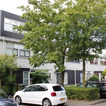 Amersfoort, Count Basiestraat, kamer - foto 2