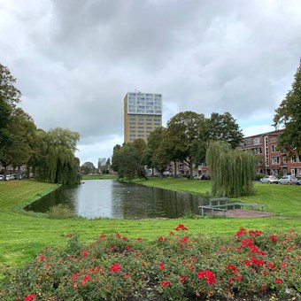 Groningen, Wielewaalplein, 2-kamer appartement - foto 3