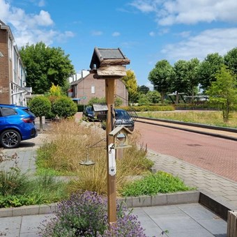 Dieren, Prins Bernhardlaan, eengezinswoning - foto 2