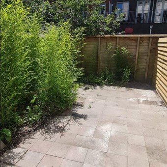 Utrecht, Tolsteegsingel, semi zelfstandige studio - foto 2