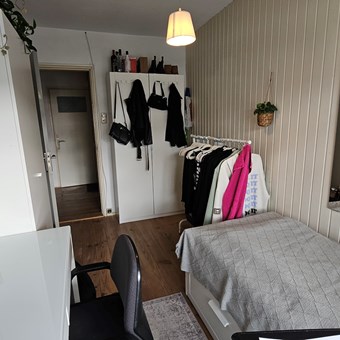 Groningen, Paulus Potterstraat, kamer - foto 3