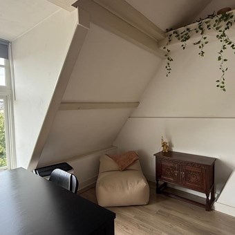 Utrecht, Wittevrouwensingel, 2-kamer appartement - foto 3