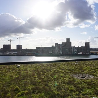 Rotterdam, De Monchyplein, 3-kamer appartement - foto 2