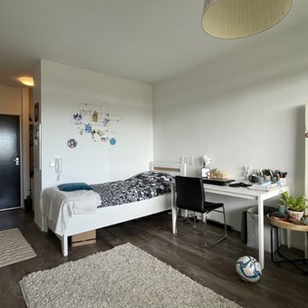 Apeldoorn, Robijnstraat, zelfstandige studio - foto 2