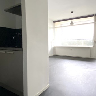 Apeldoorn, Robijnstraat, zelfstandige studio - foto 3