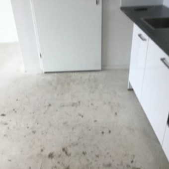 Arnhem, Singravenlaan, zelfstandige studio - foto 3