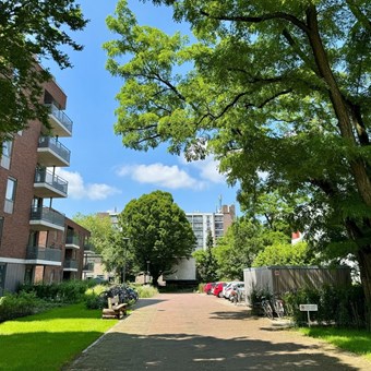 Nijmegen, Heemraadstraat, 3-kamer appartement - foto 2