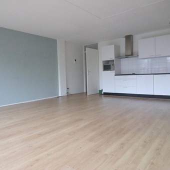 Zeist, Bergweg, 2-kamer appartement - foto 3