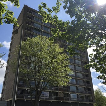 Groningen, Eikenlaan, 3-kamer appartement - foto 3