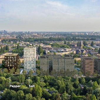 Amsterdam, Haarlemmerweg, 2-kamer appartement - foto 3