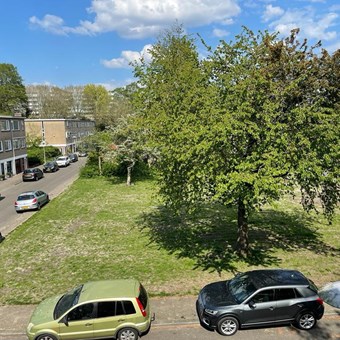 Utrecht, Cobradreef, zelfstandige studio - foto 2
