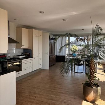 Haarlem, Nico Andriessenstraat, penthouse - foto 2