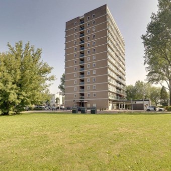 Arnhem, Klaverlaan, 2-kamer appartement - foto 3