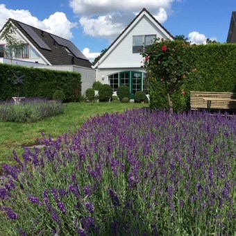 Berkel en Rodenrijs, Sterrenweg, eengezinswoning - foto 2