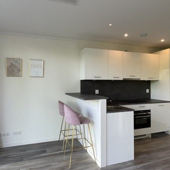 Houten, Randhoeve, zelfstandige studio - foto 2