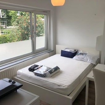 Utrecht, Asserlaan, semi zelfstandige studio - foto 3