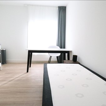 Eindhoven, Heideveldstraat, zelfstandige studio - foto 2